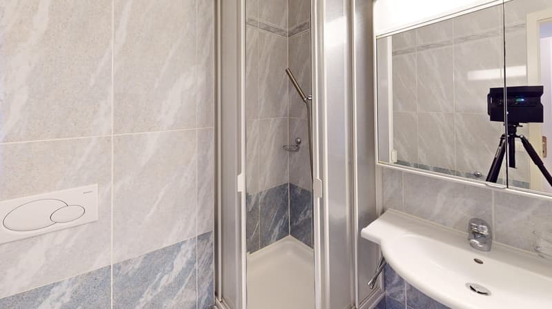 Spacious 2-Bed,2 Bath Apartment with Parking, Balcony and Lake View! (15)