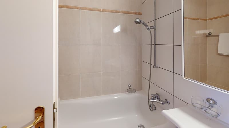 Spacious 2-Bed,2 Bath Apartment with Parking, Balcony and Lake View! (11)