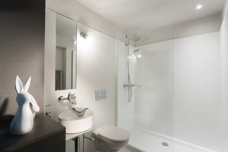 Furnished Premium studio with parking space available - Nyon (8)