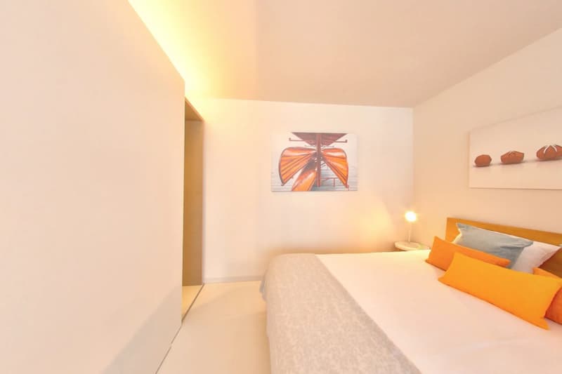 Furnished Premium studio with parking space available - Nyon (7)