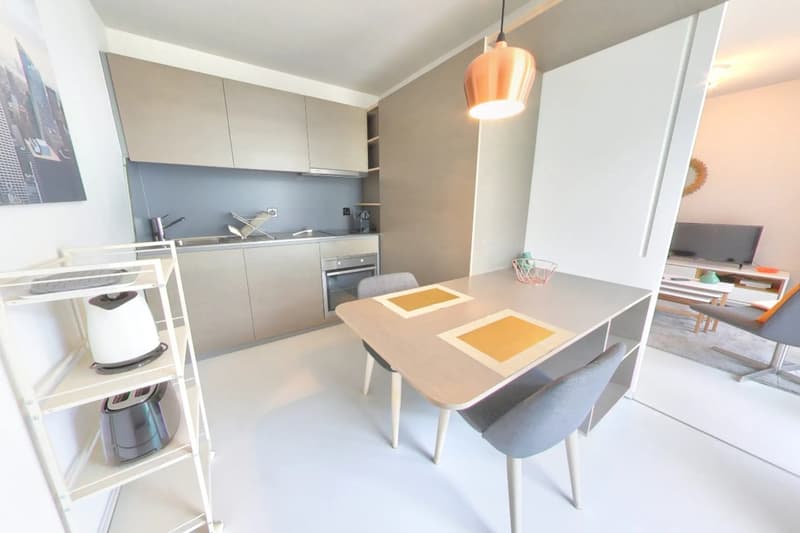 Furnished Premium studio with parking space available - Nyon (5)