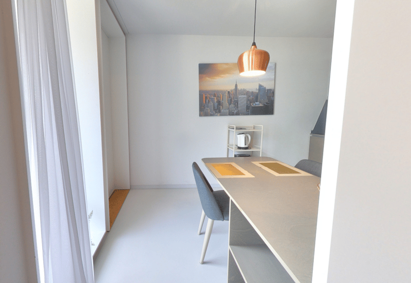 Furnished Premium studio with parking space available - Nyon (6)