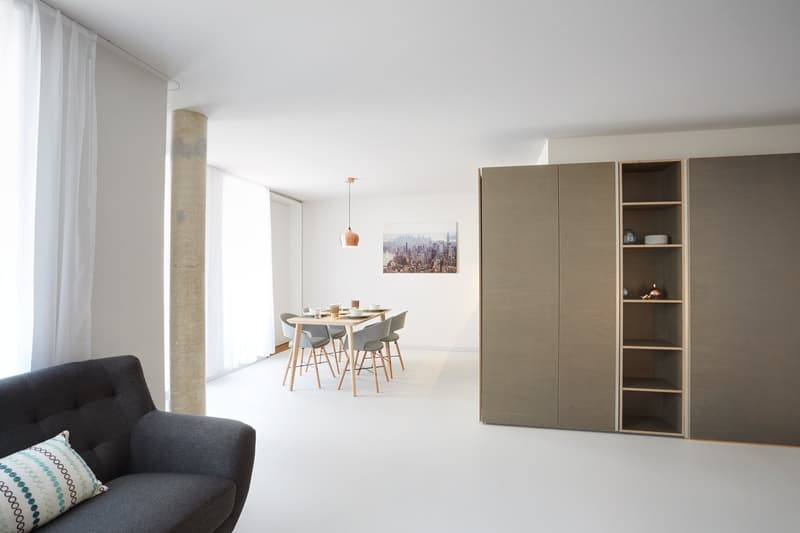 Studio meublé Deluxe/Furnished Deluxe studio in Nyon (5)