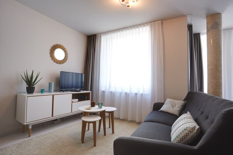 Studio meublé Deluxe/Furnished Deluxe studio in Nyon (8)
