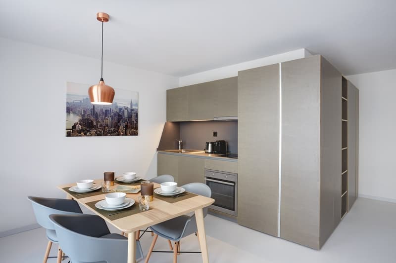 Studio meublé Deluxe/Furnished Deluxe studio in Nyon (6)