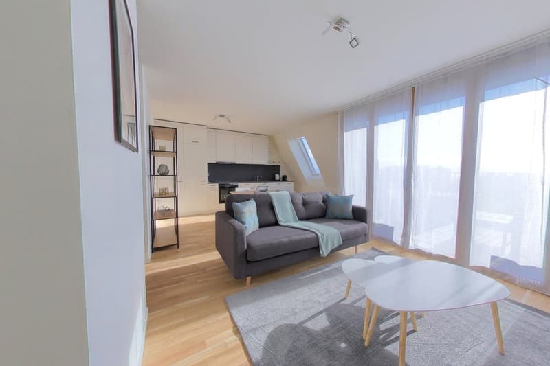 Newly renovated 75 m² 2-bedroom apartment (2)