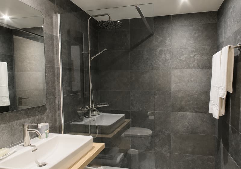 Modern Studio Apartment in the Cornavin district (12)