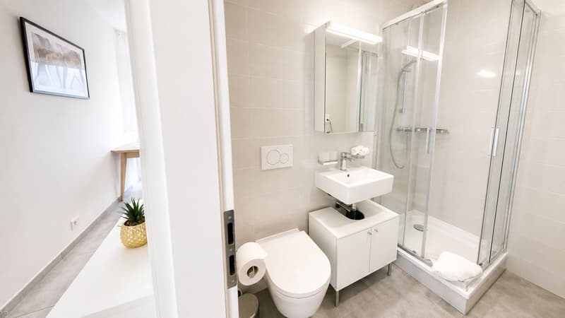Furnished 1-bed with Balcony & Parking / Appartement meublé 1 chambre Nyon (12)