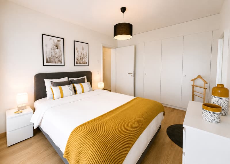 Furnished 1-bed with Balcony & Parking / Appartement meublé 1 chambre Nyon (9)
