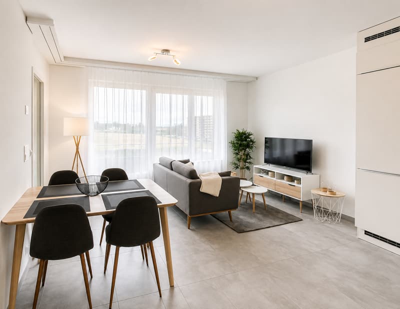 Furnished 1-bed with Balcony & Parking / Appartement meublé 1 chambre Nyon (2)