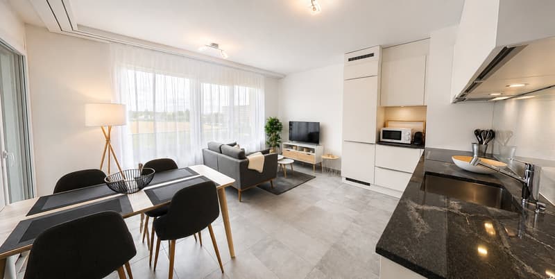 Furnished 1-bed with Balcony & Parking / Appartement meublé 1 chambre Nyon (1)