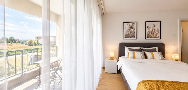 Furnished 1-bed with Balcony & Parking / Appartement meublé 1 chambre Nyon (8)
