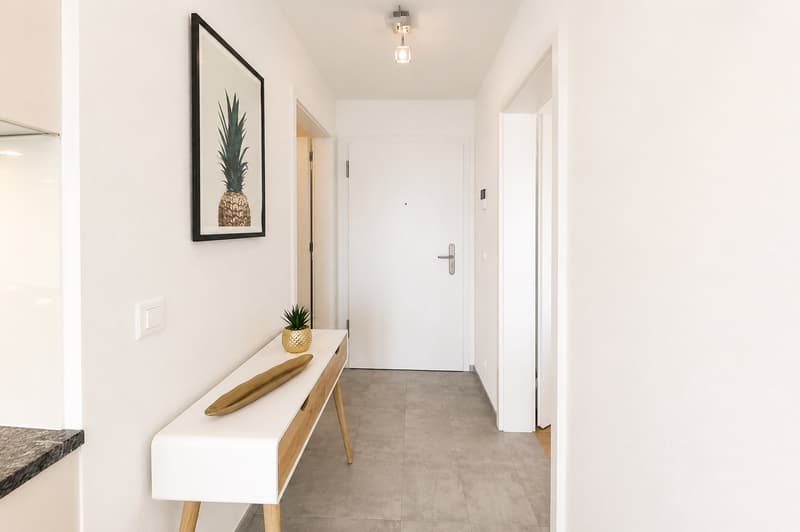 Furnished 1-bed with Balcony & Parking / Appartement meublé 1 chambre Nyon (10)