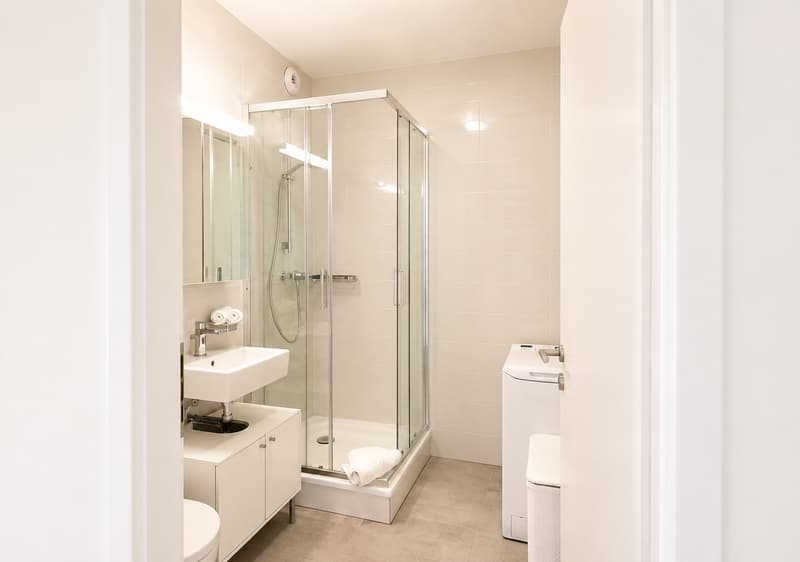 Furnished 1-bed with Balcony & Parking / Appartement meublé 1 chambre Nyon (13)