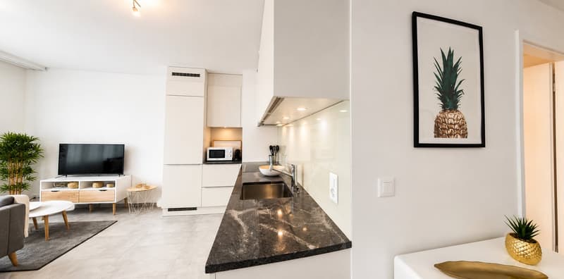 Furnished 1-bed with Balcony & Parking / Appartement meublé 1 chambre Nyon (3)