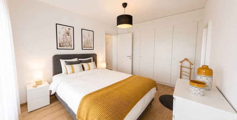 Furnished 1-bed with Balcony & Parking / Appartement meublé 1 chambre Nyon (7)