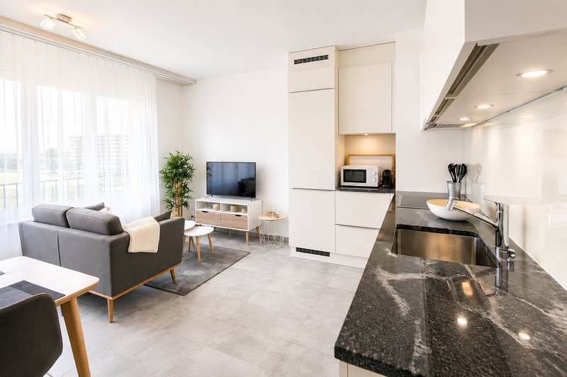 Furnished 1-bed with Balcony & Parking / Appartement meublé 1 chambre Nyon (4)