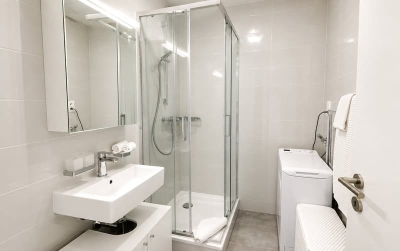 Furnished 1-bed with Balcony & Parking / Appartement meublé 1 chambre Nyon (11)