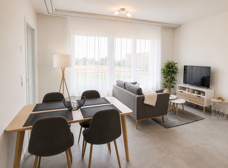 Furnished 1-bed with Balcony & Parking / Appartement meublé 1 chambre Nyon (5)
