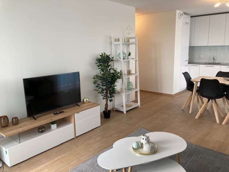 Spacious 85 m² 2-bedroom apartment with lake and mountain views - 3min to lake with parking (5)