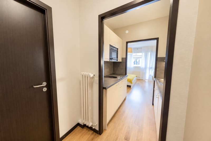 Modern Fully Furnished Studio near University of Geneva & HUG - Plainpalais, Geneva (4)