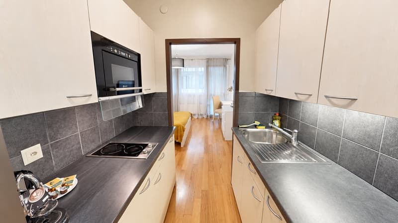 Modern Fully Furnished Studio near University of Geneva & HUG - Plainpalais, Geneva (3)