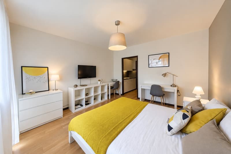 Modern Fully Furnished Studio near University of Geneva & HUG - Plainpalais, Geneva (2)