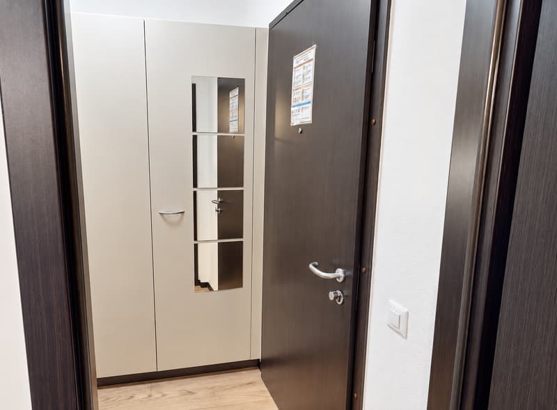 Modern Fully Furnished Studio near University of Geneva & HUG - Plainpalais, Geneva (7)