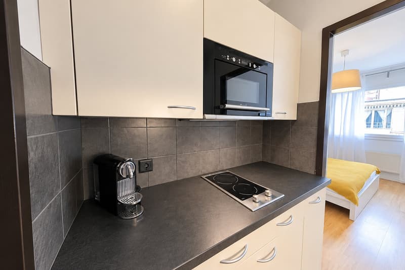 Modern Fully Furnished Studio near University of Geneva & HUG - Plainpalais, Geneva (5)