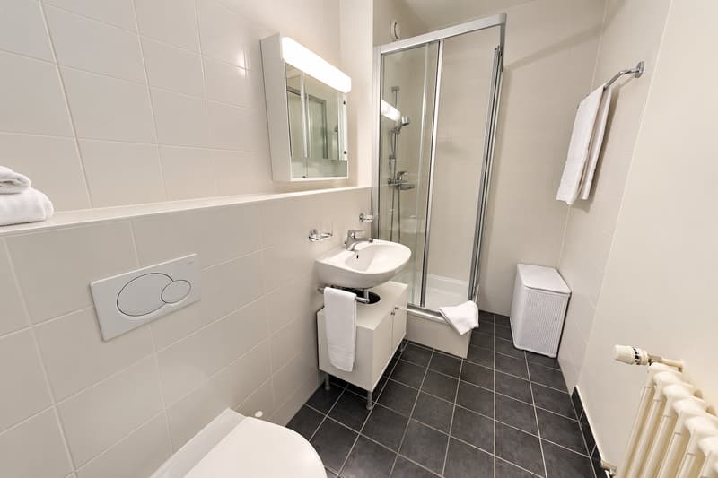 Modern Fully Furnished Studio near University of Geneva & HUG - Plainpalais, Geneva (8)