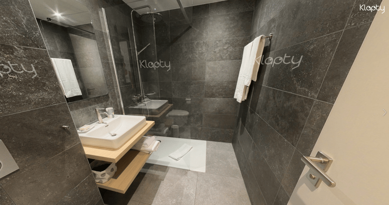 Charming furnished studio near Lake Geneva (Cornavin District) (5)
