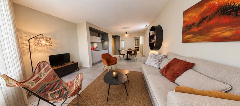 Charming Furnished 1-bed in the Heart of Geneva (3)