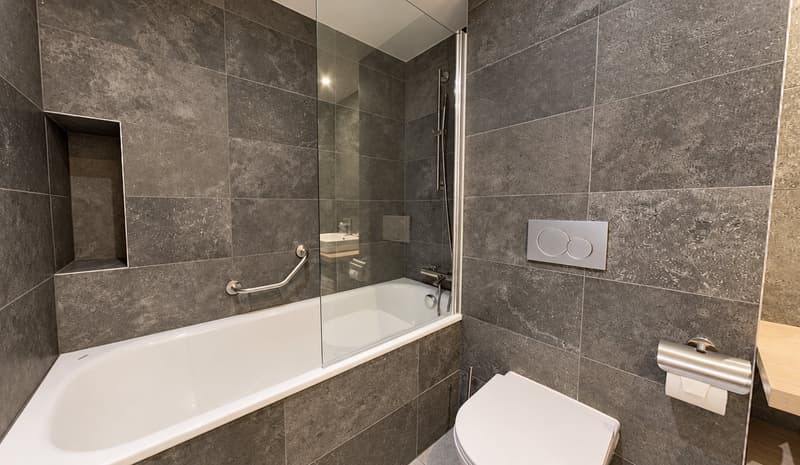 Charming Furnished 1-bed in the Heart of Geneva (4)