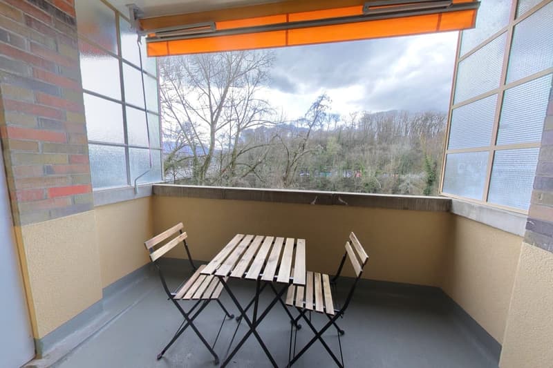 Furnished apartment - 1 bedroom / Appartement meublé 1 chambre -  in the center of Geneva (5)
