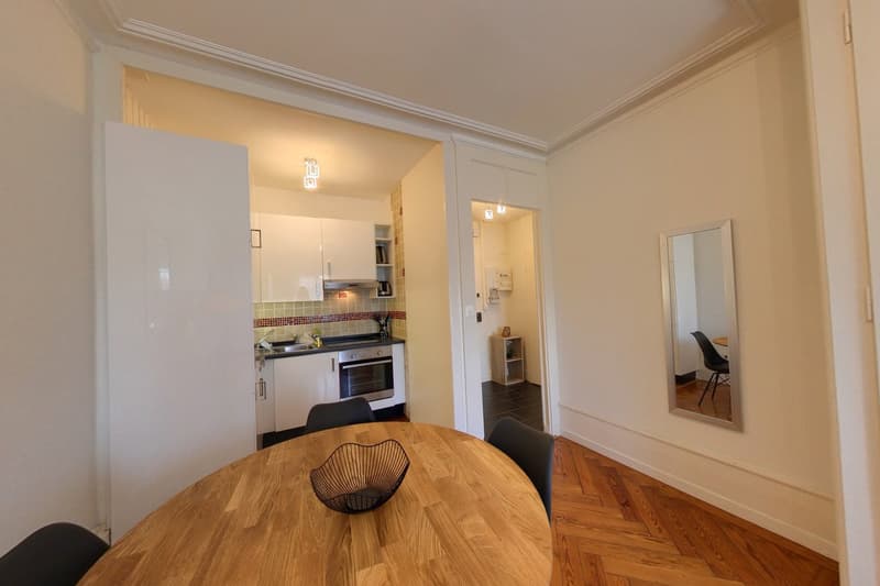 1-Bedroom Apartment / Appartement 1 chambre Eaux-Vives Genève (3)
