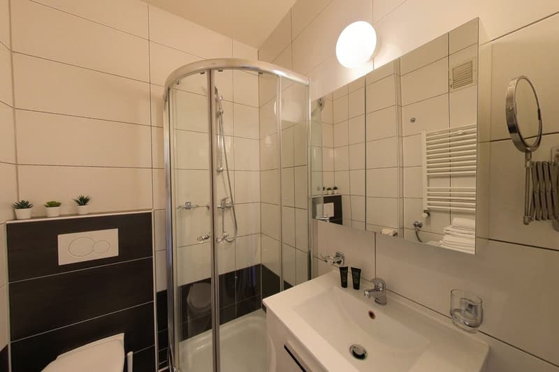 1-Bedroom Apartment / Appartement 1 chambre Eaux-Vives Genève (8)