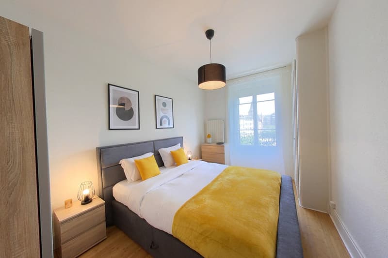 1-Bedroom Apartment / Appartement 1 chambre Eaux-Vives Genève (5)