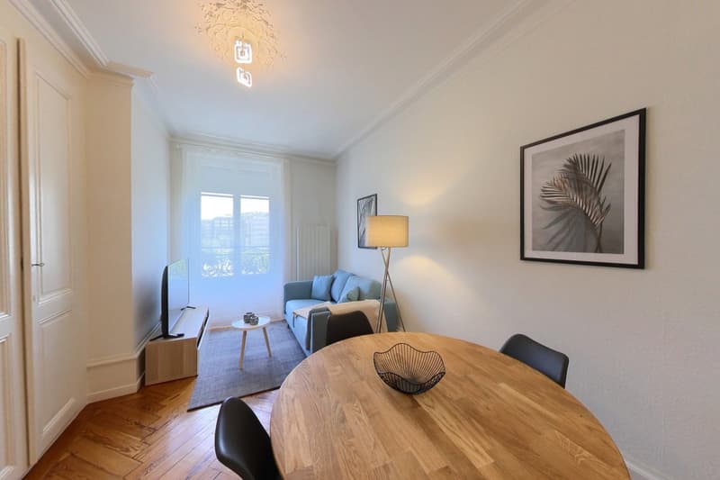 1-Bedroom Apartment / Appartement 1 chambre Eaux-Vives Genève (10)