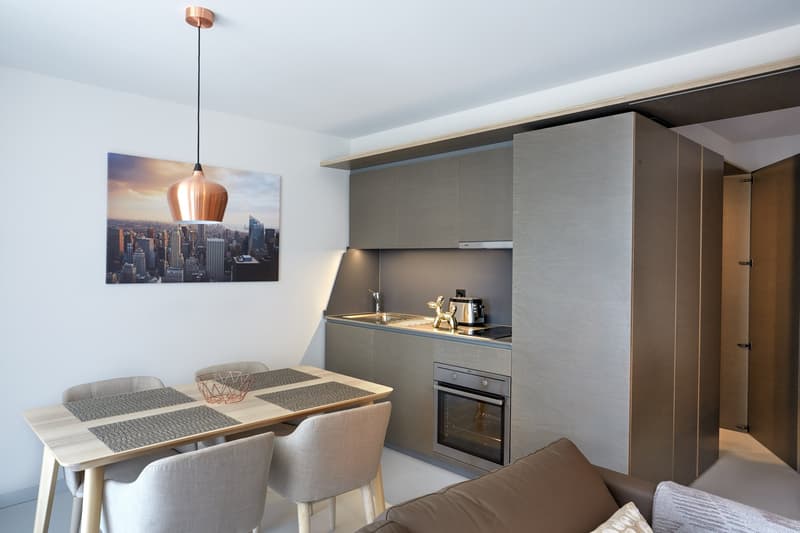 Studio meublé Standard /Furnished studio Standard Nyon (3)