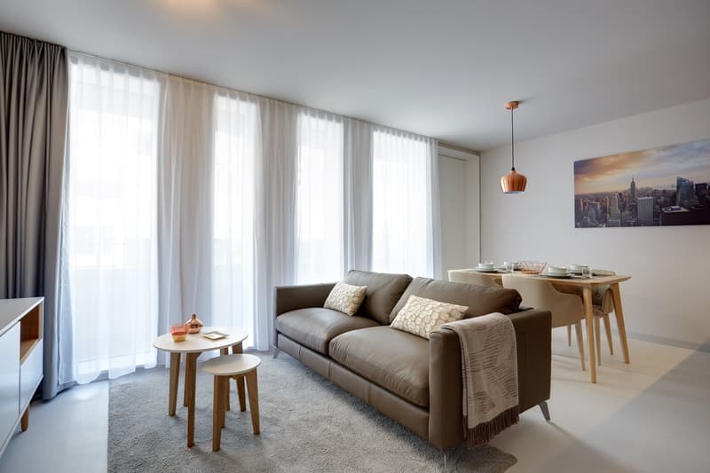 Studio meublé Standard /Furnished studio Standard Nyon (7)