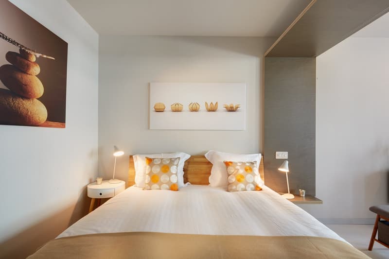 Studio meublé Standard /Furnished studio Standard Nyon (5)