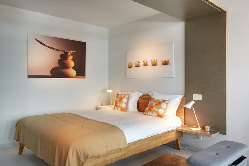 Studio meublé Standard /Furnished studio Standard Nyon (6)