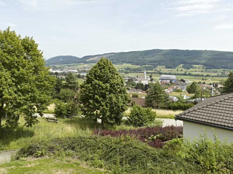 2-1/2-Zimmer-Wohnung mit grossem Sitzplatz inklusiv Parkplatz (9)