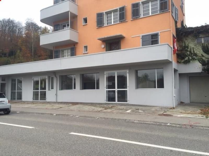 Gewerbe-/Nutzfläche an der Hauptstrasse 24 in Zuchwil (1)