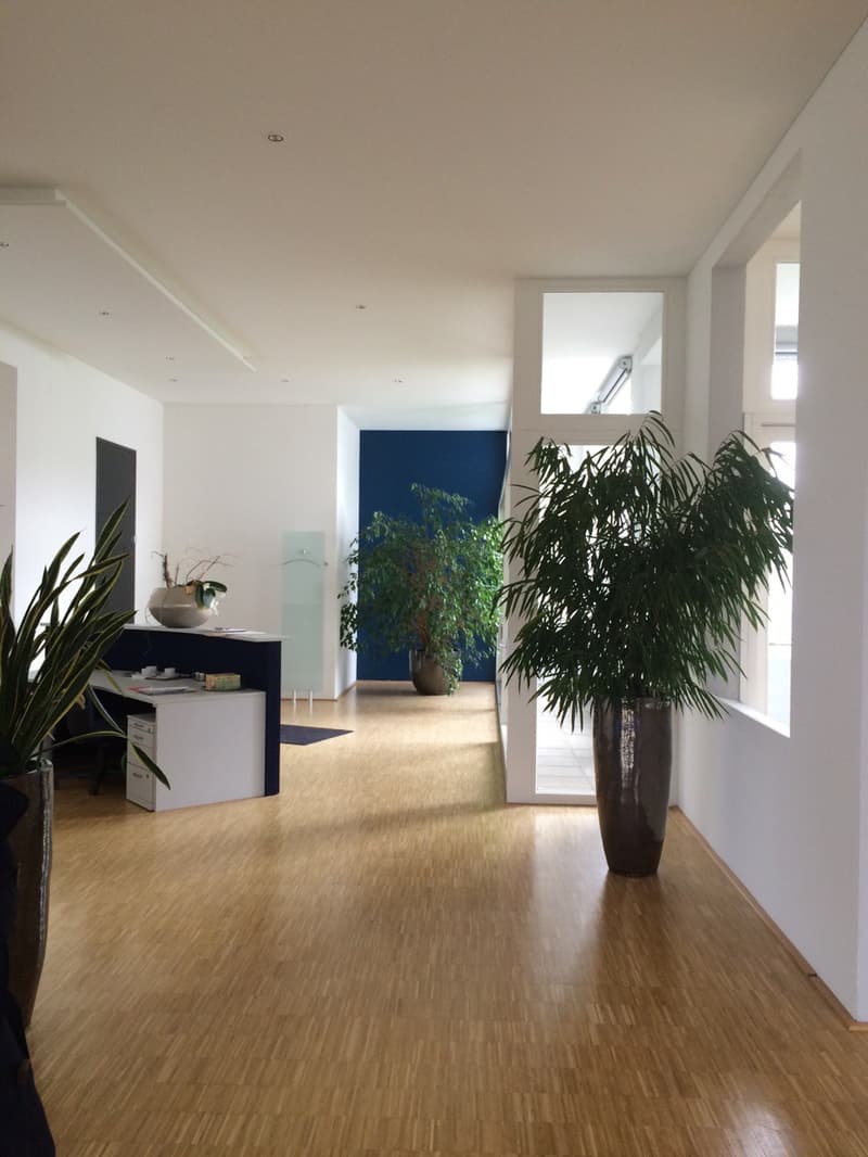 3. Loft - Bezugsfrei, 286m², Aufzug, ruhig, sonnig, Parkett, Balkon, Tiefgarage, kaufen, verkaufen, Immobilienmakler, FEHR Immopartner AG, Ermatingen, Kreuzlingen, Thurgau, Schweiz