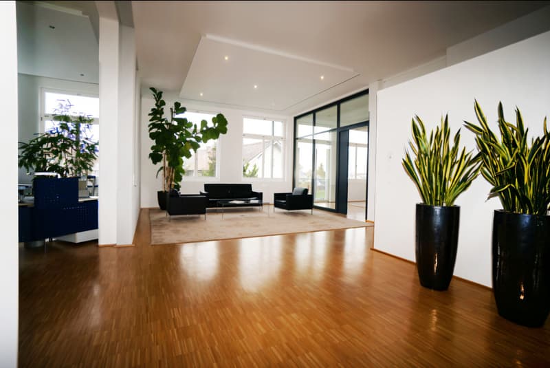 4. Büro-Loft - Bezugsfrei, 286m², Aufzug, ruhig, sonnig, Parkett, Balkon, Tiefgarage, kaufen, verkaufen, Immobilienmakler, FEHR Immopartner AG, Ermatingen, Kreuzlingen, Thurgau, Schweiz