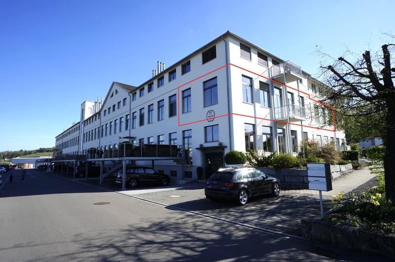 1. Hausansicht - Büro-Loft, bezugsfrei, 286 m², Aufzug, ruhig, sonnig, Parkett, Balkon, Tiefgarage, kaufen, verkaufen, Immobilienmakler, FEHR Immopartner AG, Ermatingen, Kreuzlingen, Thurgau, Schweiz