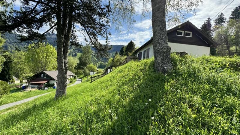 Villa jumelle 2 pièces à Montreux (5)