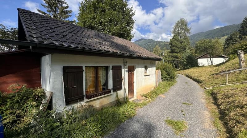 Villa jumelle 2 pièces à Montreux (12)