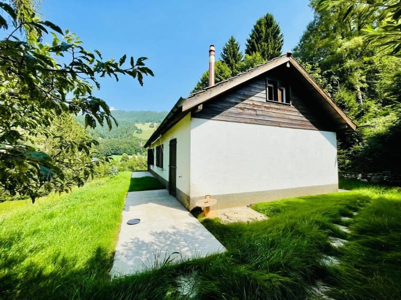 Petite maison jumelée 2 pièces à Montreux (2)